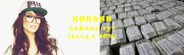 крисы Новокубанск